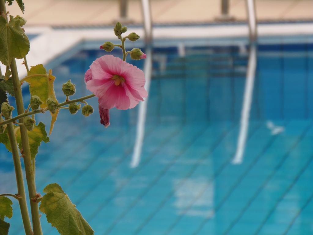 Emerald Hotel Малиа Екстериор снимка